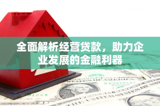 广平全面解析经营贷款，助力企业发展的金融利器