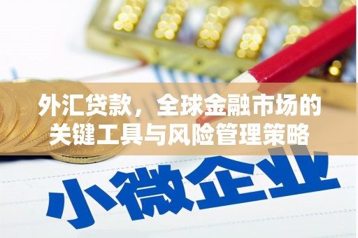 广平外汇贷款，全球金融市场的关键工具与风险管理策略