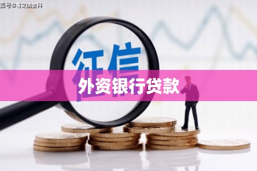 广平外资银行贷款