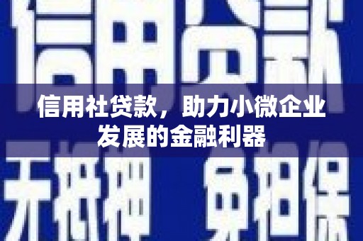 广平信用社贷款，助力小微企业发展的金融利器