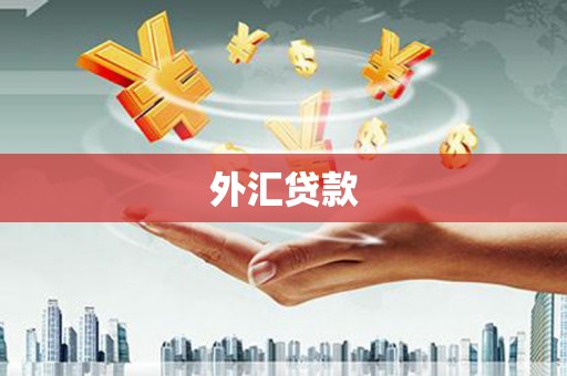 广平外汇贷款