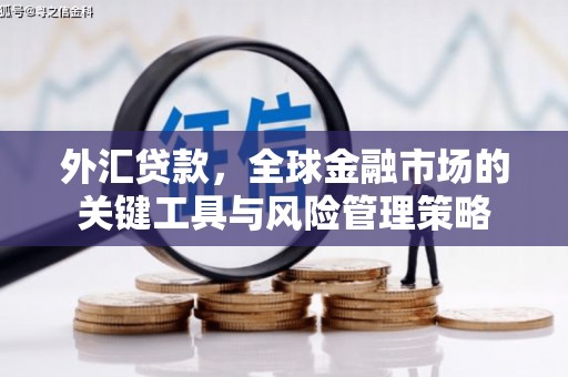 广平外汇贷款，全球金融市场的关键工具与风险管理策略