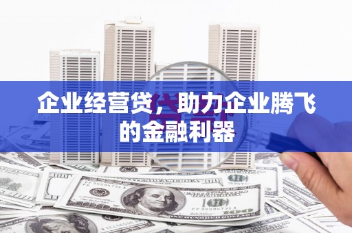 广平企业经营贷，助力企业腾飞的金融利器