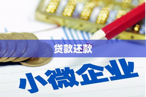 广平贷款还款