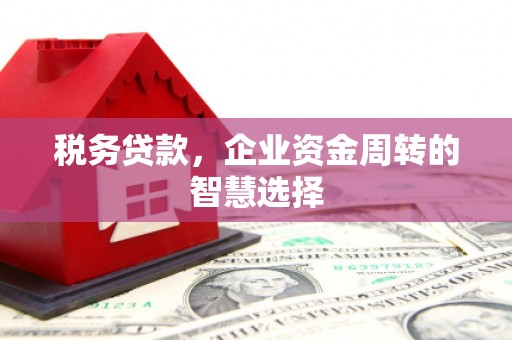 广平税务贷款，企业资金周转的智慧选择