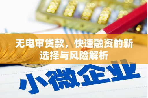 广平无电审贷款，快速融资的新选择与风险解析