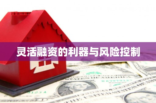 广平灵活融资的利器与风险控制