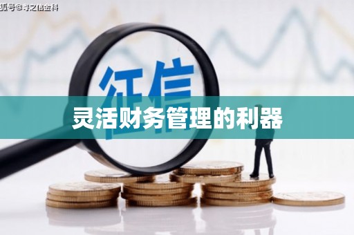 广平灵活财务管理的利器