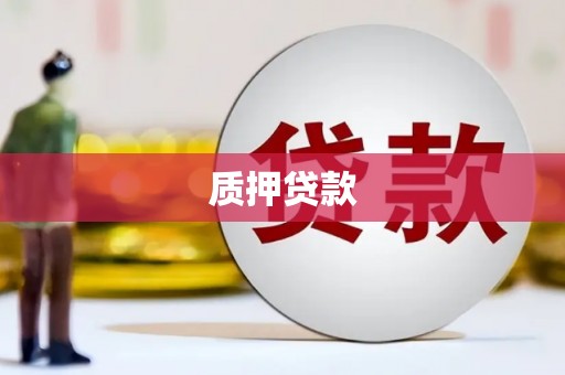 广平质押贷款