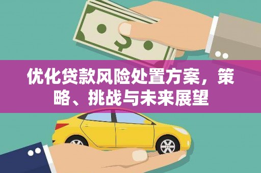 广平优化贷款风险处置方案，策略、挑战与未来展望