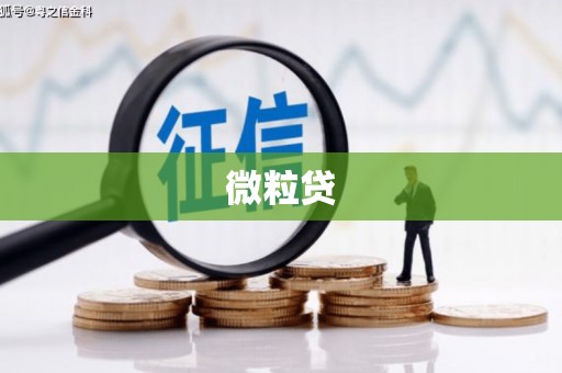 广平微粒贷