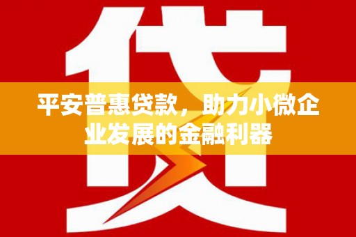 广平平安普惠贷款，助力小微企业发展的金融利器