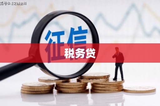 广平税务贷