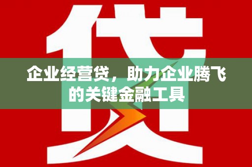 广平企业经营贷，助力企业腾飞的关键金融工具