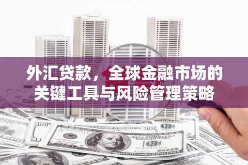 广平外汇贷款，全球金融市场的关键工具与风险管理策略
