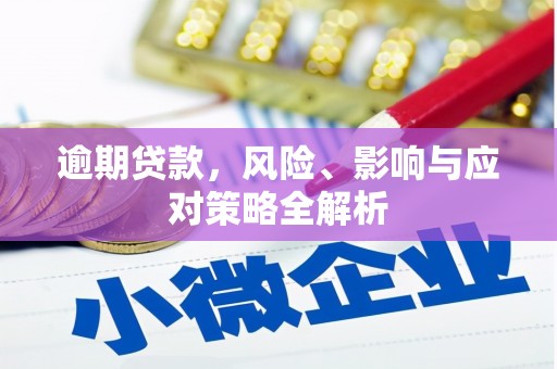 广平逾期贷款，风险、影响与应对策略全解析