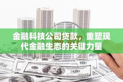 广平金融科技公司贷款，重塑现代金融生态的关键力量