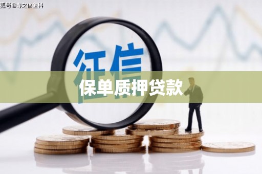 广平保单质押贷款
