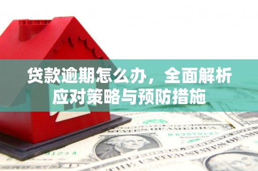 广平贷款逾期怎么办，全面解析应对策略与预防措施