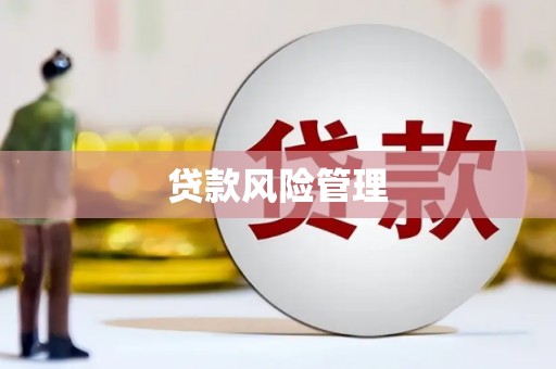 广平贷款风险管理
