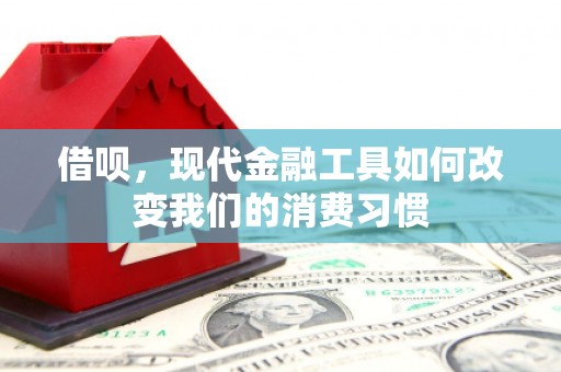 广平借呗，现代金融工具如何改变我们的消费习惯
