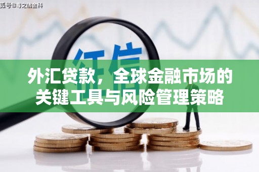 广平外汇贷款，全球金融市场的关键工具与风险管理策略