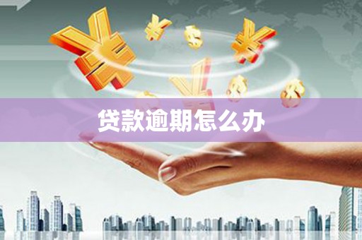 广平贷款逾期怎么办