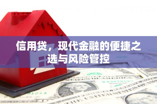 广平信用贷，现代金融的便捷之选与风险管控