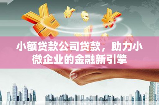 广平小额贷款公司贷款，助力小微企业的金融新引擎