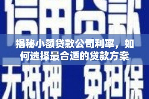 广平揭秘小额贷款公司利率，如何选择最合适的贷款方案