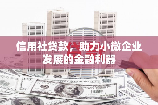 广平信用社贷款，助力小微企业发展的金融利器