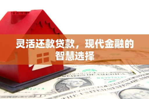 广平灵活还款贷款，现代金融的智慧选择