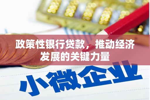 广平政策性银行贷款，推动经济发展的关键力量