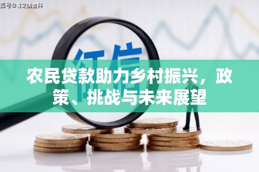 广平农民贷款助力乡村振兴，政策、挑战与未来展望