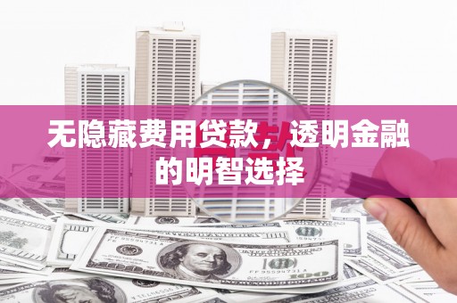广平无隐藏费用贷款，透明金融的明智选择