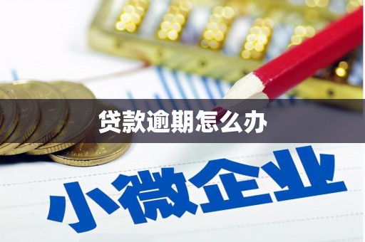 广平贷款逾期怎么办