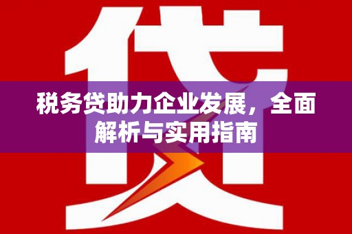 广平税务贷助力企业发展，全面解析与实用指南