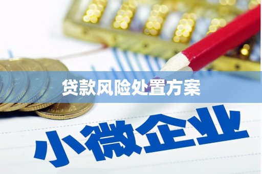 广平贷款风险处置方案