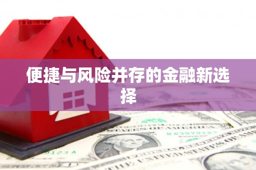 广平便捷与风险并存的金融新选择