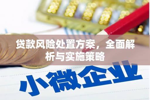 广平贷款风险处置方案，全面解析与实施策略