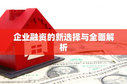 广平企业融资的新选择与全面解析
